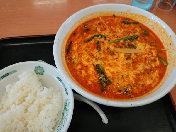 「【期間限定】大宮担々麺640円＋半ライス110円」@熱烈中華食堂 日高屋 新座畑中店の写真