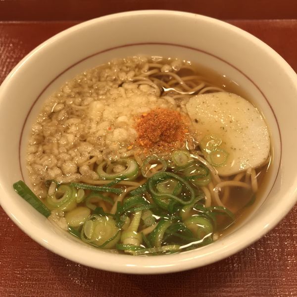 「はいからそば（小）（￥230）」@なか卯 大森北一丁目店の写真