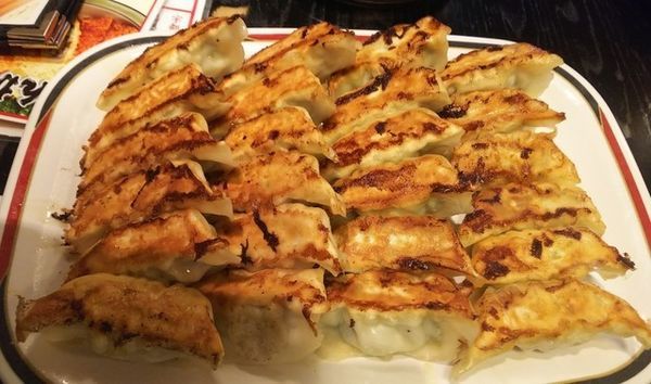 「健太餃子300円×２」@宇都宮餃子館 駅前中央店の写真