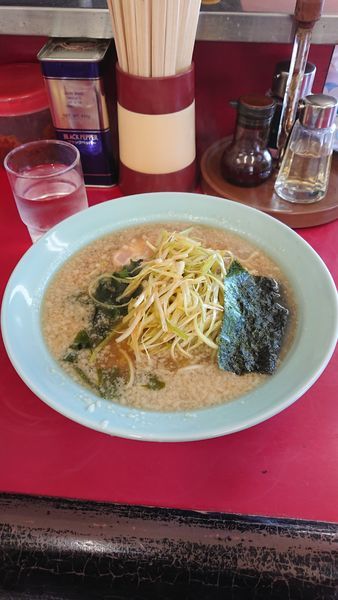 「ネギラーメン」@ニューラーメンショップ宝田の写真