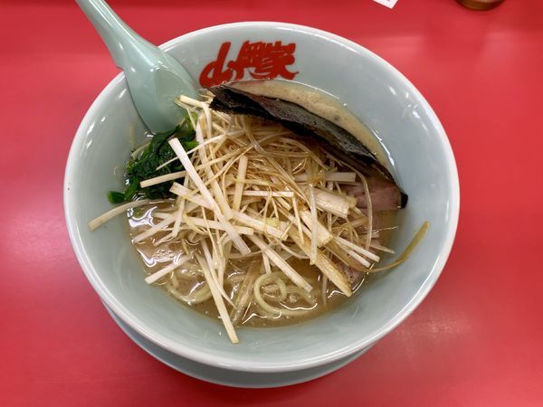 「ネギラーメン」@ラーメン山岡家 東金店の写真