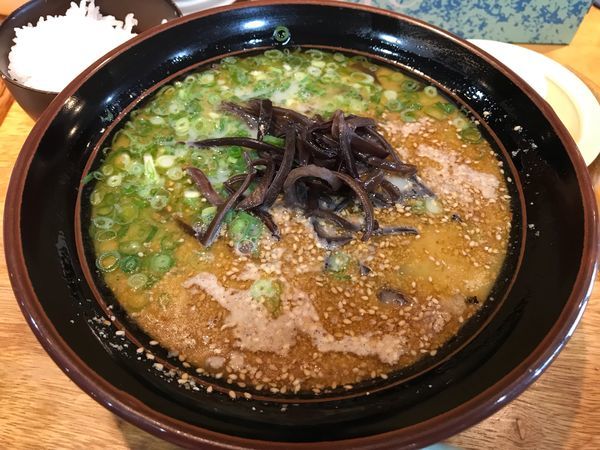 「博多らーめん 720円」@博多ラーメン かっぱ亭の写真