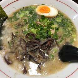 ここだけ豚骨 730円 硬め