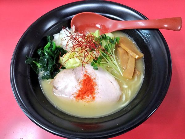 「期間限定 塩鶏白湯麺」@和風らーめん はるやの写真