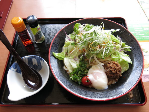 「冷やし麻辣担々麺：799円＋消費税」@夢庵 カリブ梅島店の写真