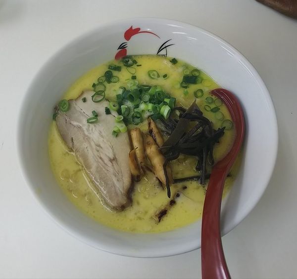 「鶏白湯塩ラーメン」@麺屋 丸鶏庵の写真