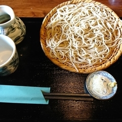 かやの木の画像