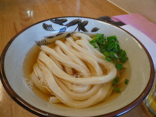 「かけうどん（並、ひやあつ）」@手打ちうどん こげらの写真