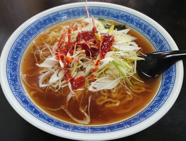 「ネギラーメン」@ラーメン亭 ふうの写真