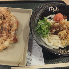 はなまるうどん 新千歳空港店の画像