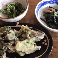 エコー食堂の写真