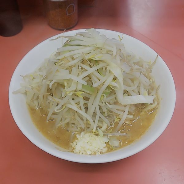 「ラーメン少なめニンニク」@ラーメン二郎 ひばりヶ丘駅前店の写真
