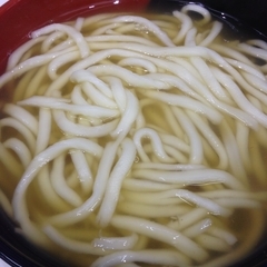 きっちょううどん 橘通店の画像