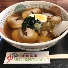 黒湯天然温泉ヌーランド さがみゆの画像