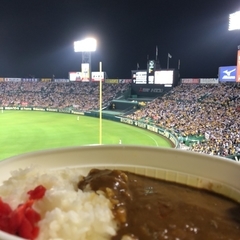 阪神甲子園球場の画像