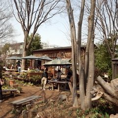 ファーム ヨコタの画像