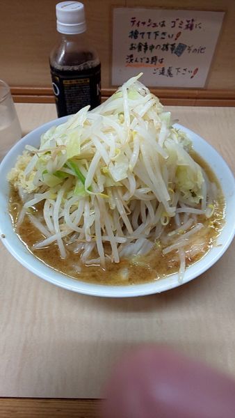 「小豚麺半分➕野菜➕油➕にんにく少な目」@ラーメン二郎 京成大久保店の写真