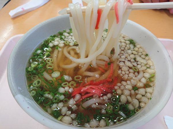 「かけうどん400円＋ふくの唐揚げ500円」@壇之浦PA お食事処の写真