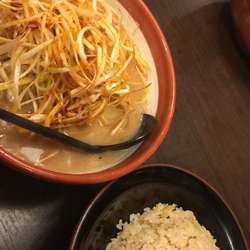 北海道味噌肉ネギラーメン