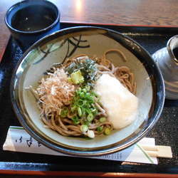 山かけそば（冷）