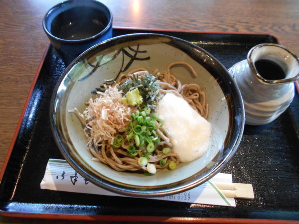「山かけそば（冷）」@お食事処 おおもりの写真