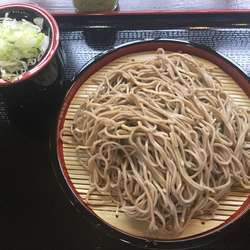 田舎蕎麦・並盛り(¥500)