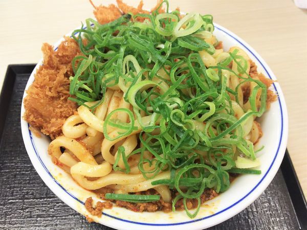 「カレーうどんカツ丼￥637」@かつや 藤沢湘南台店の写真
