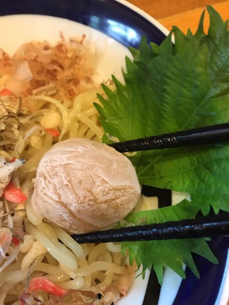 「冷凍梅のざるつけ麺850円」@らーめん やまふじ 新大阪本店の写真