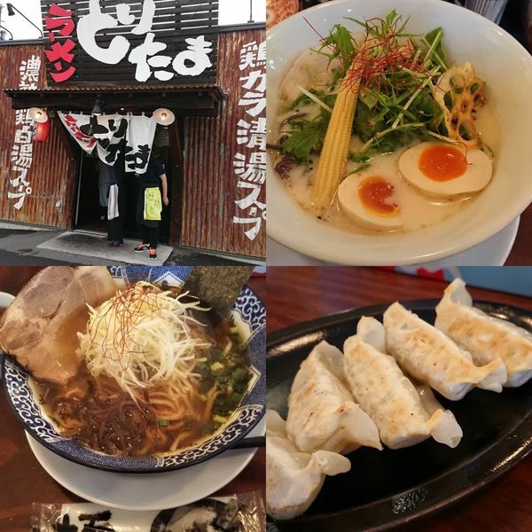 「濃熟鶏白湯トロ玉ラーメン塩、極み鶏ガラしょうゆ、特製焼き餃子」@ラーメン とりたまの写真