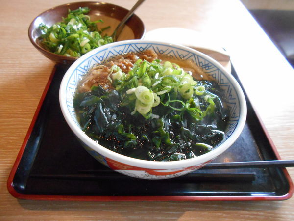 「肉わかめうどん」@どんどん 松江店の写真