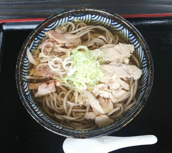 「肉そば並冷６５０円」@肉そば すみどやの写真