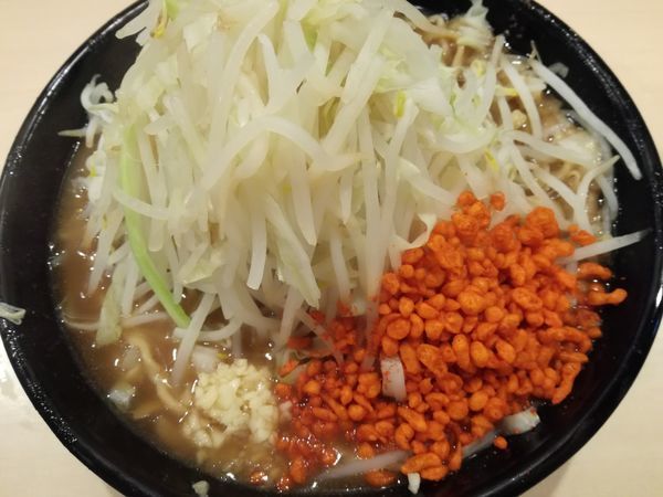 「ラーメン:750円（大盛:100円、麺マシ500g）」@鷹の目 蒲田店の写真
