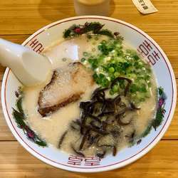 博多とんこつらーめん