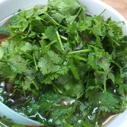 季節限定：ベトナム風佐野ラーメン800円