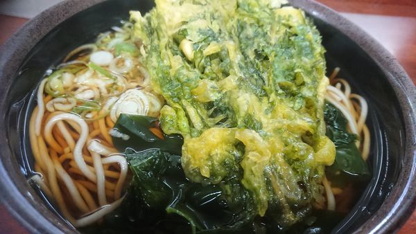 「春菊蕎麦」@新田毎 秋葉原の写真