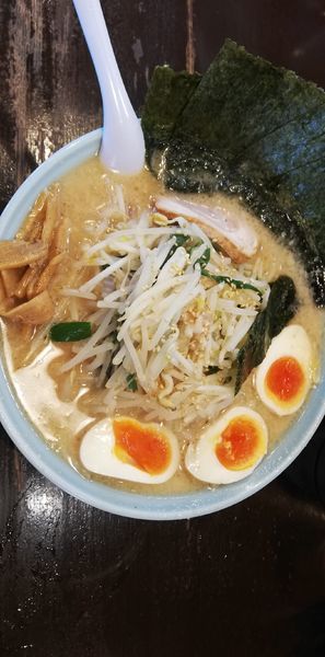 「豚骨味噌ラーメン大盛、味玉、海苔（1250円）」@江川亭 小金井本店の写真