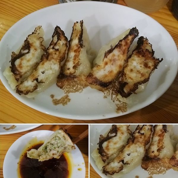 「餃子(5個)　400円」@ニュー菜苑の写真