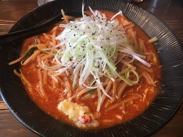 「辛味噌ラーメン」@大塚屋の写真