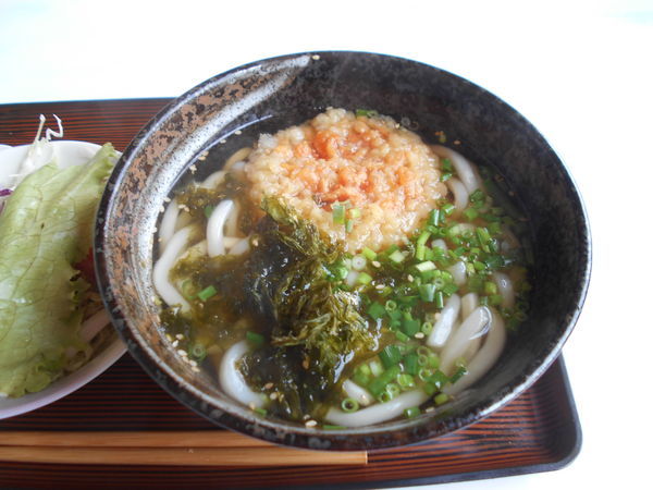 「かき揚げうどん」@真須褐都の写真