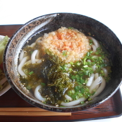 真須褐都の画像