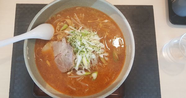 「山形辛味噌ネギらーめん」@ラーメン 壱源の写真