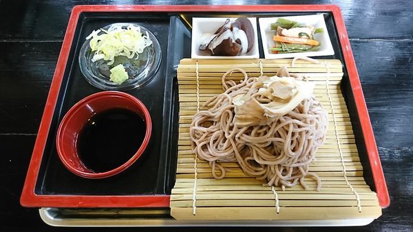 「（夏季限定）きのこざるそば　７００円」@展望大食堂 きのこの館の写真