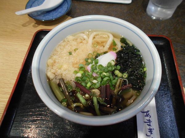 「山菜うどん」@天霧 大田店の写真