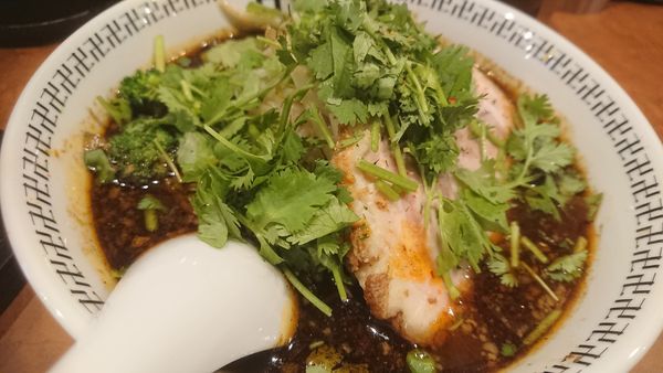 「スパイスパクチー」@スパイス・ラー麺 卍力 秋葉原店の写真