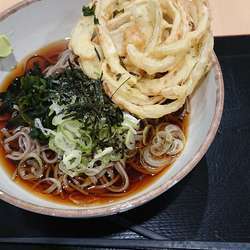 冷やし天ぷらそば かき揚げ