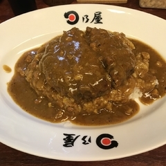 日乃屋カレー 蒲田支店の画像