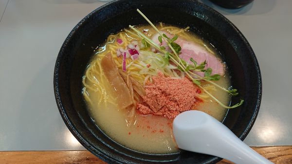 「鶏白湯 塩らーめん 680円(桜海老)」@らーめん・定食 頂の写真