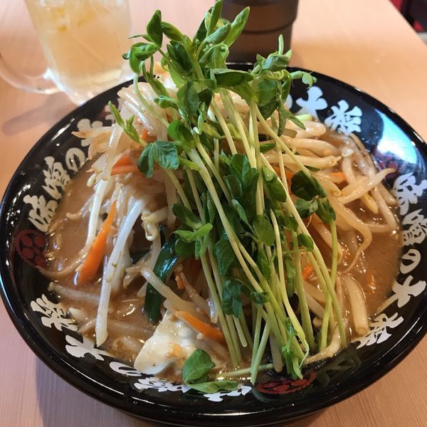 「野菜味噌らーめん」@味噌の大将 江古田店の写真