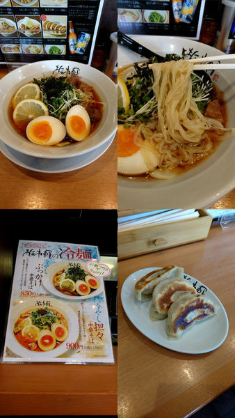 「季節限定『冷やしぶっかけ中華そば(￥850)』」@栃木軒の写真