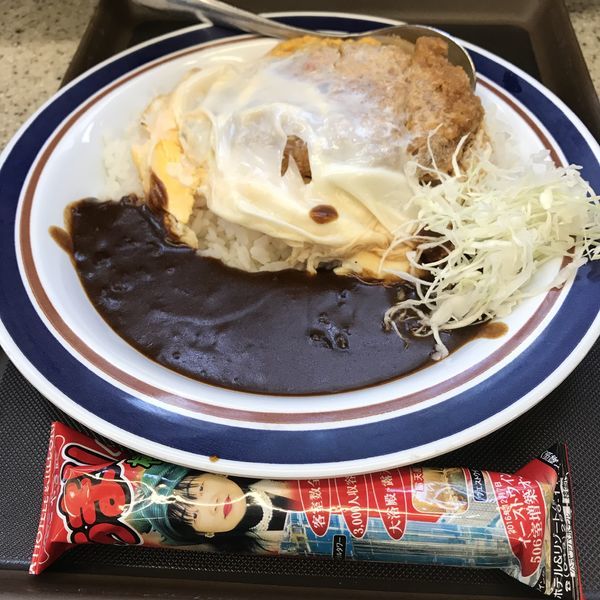 「【店舗限定/期間限定】アパ社長カレーかつ丼（￥780）」@名代 富士そば 赤坂見附店の写真